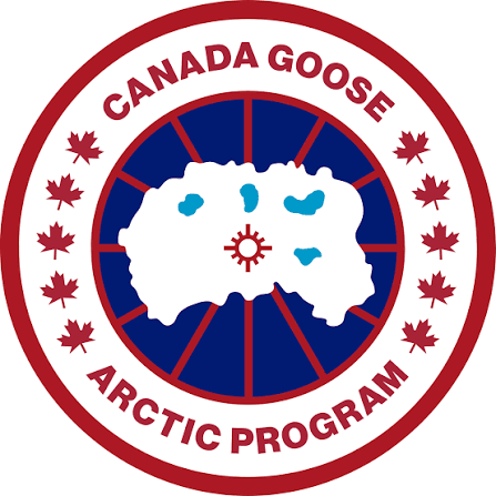 Canada goose