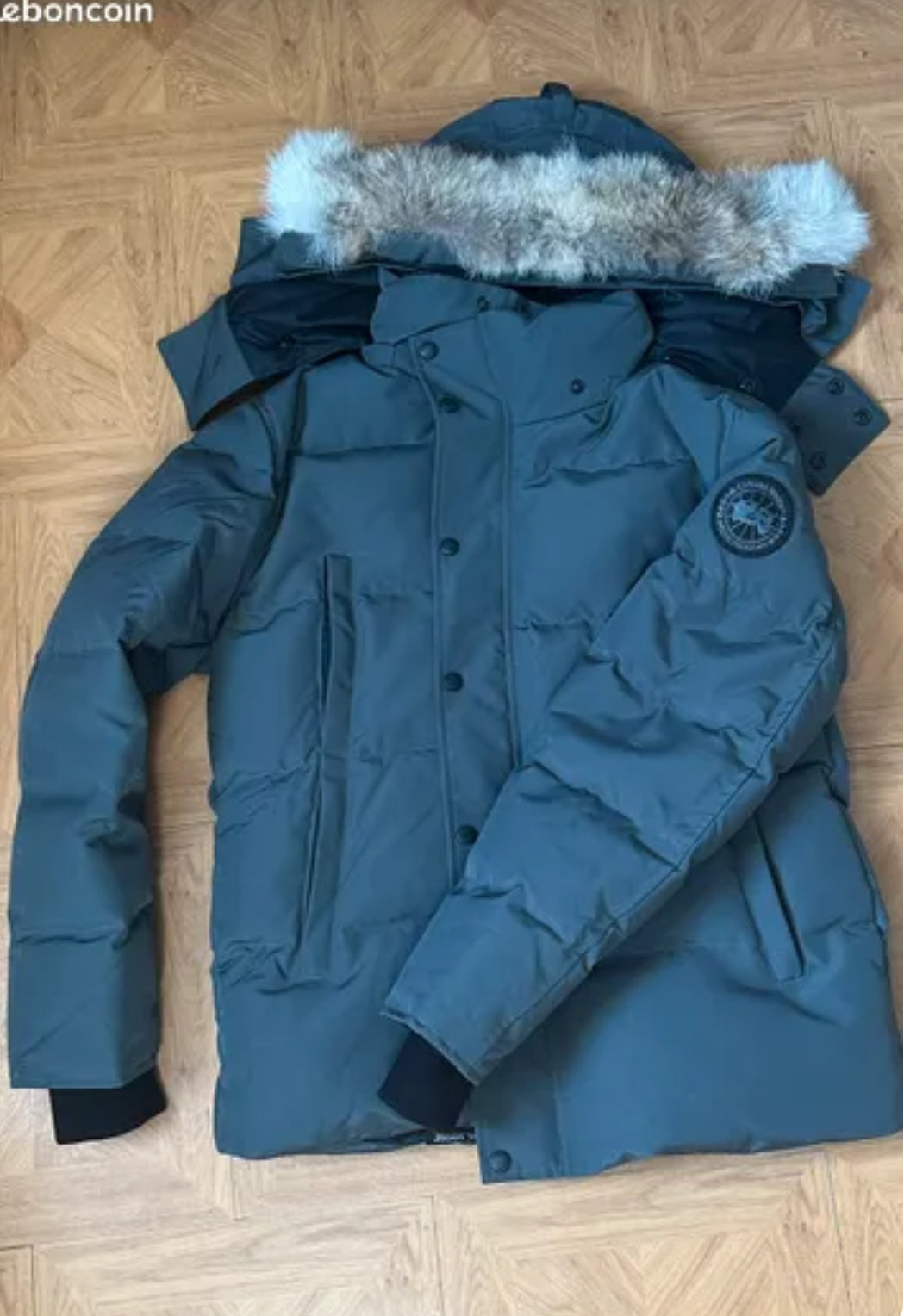 Canada goose Wyndham with grey and grey badge